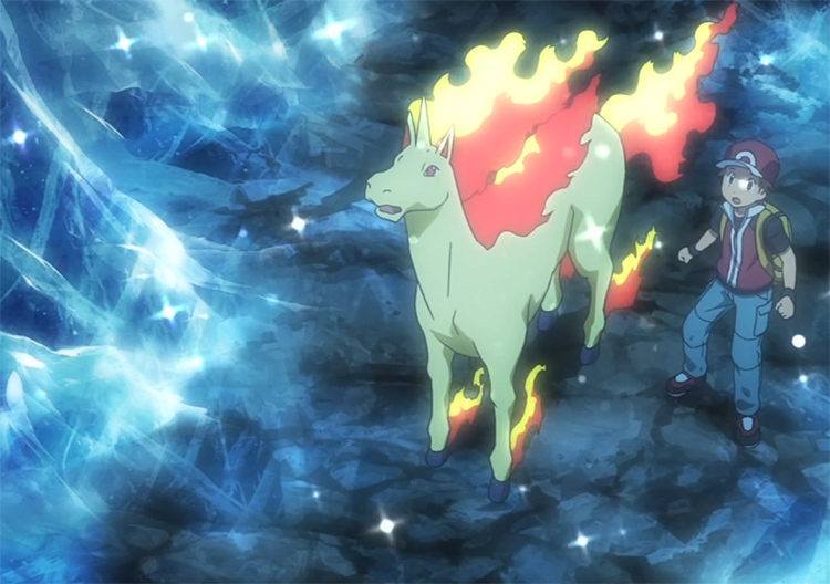 Rapidash In The Pokemon Anime